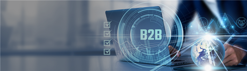 b2b EDI Guide