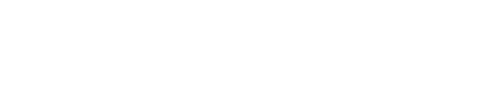 PartnerLinQ Logo - Footer